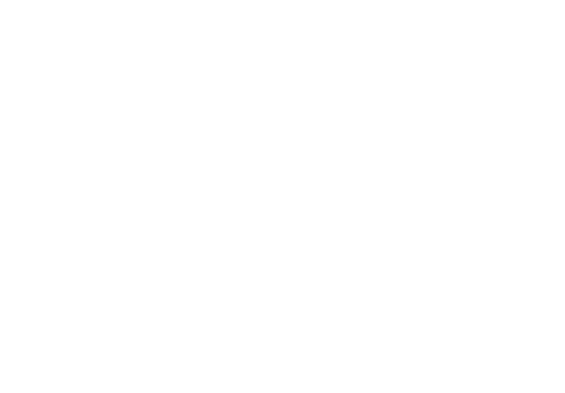 Royal Air Maroc Logo